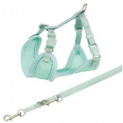 Harnais Baby menthe avec laisse