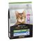 Votre chat est Senior ! Proplan