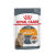 royal-canin-fe_line-care-nutrition-intense-beauty-12-x-85-g.jpg