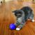 chats-kong-balle-kong-cat-treat-dispensing-ball-51400384773-155x_.png