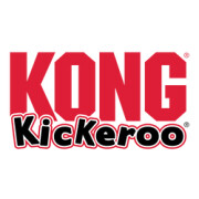 Jouet KONG Kickeroo Pattern