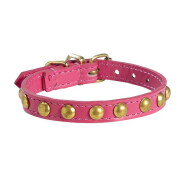 Collier chien Little - rose