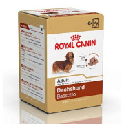 Sachet fraîcheur Teckel (Dachshund)