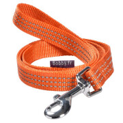 Laisse Safe orange pour petit ou gros chien