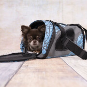 Sac Smart Carry bleu