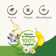 Shampoing anti puce chat - chien