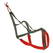 Harnais de traîneau