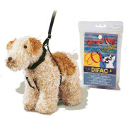 Harnais de dressage Sympa Dog
