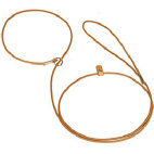 Laisse en cuir pour chien