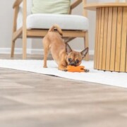 Jouet Cochon allongé en latex