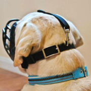 Muselière Baskerville Ultra