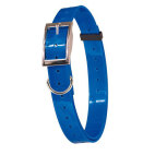 Collier fluo pour chien