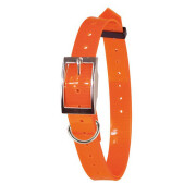 Collier fluo plein-air et chasse orange
