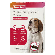 Collier chien anti-puce efficace contre les tiques 