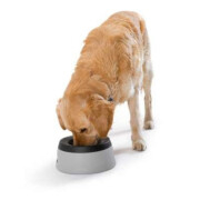 Gamelle anti débordement chien, anti renversement et éclaboussure