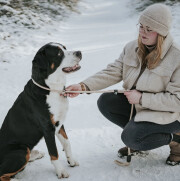 Laisse Retriever en corde Freestyle beige pour chien