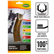 Bois de Cerf pour chien moyen