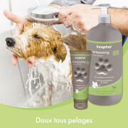 Shampoing Premium doux tous pelages