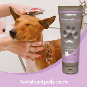 Shampoing démêlant poils courts Beaphar