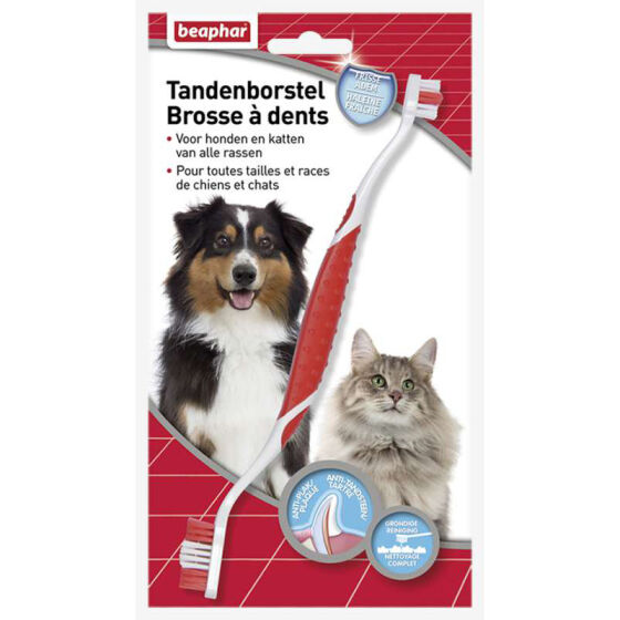 brosse-a-dents-haleine-fraiche-chien-et-chat.jpg