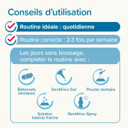 Dentifrice et Brosse à dents chien et chat