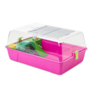 Cage hamster Rody fuchsia