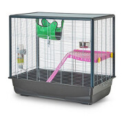 Cage rat furet Zeno 2 Knock Down