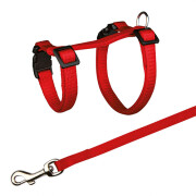 Harnais cochon d'Inde rouge avec laisse