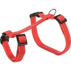 Harnais, laisse lapin