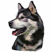 Autocollant Alaskan Malamute