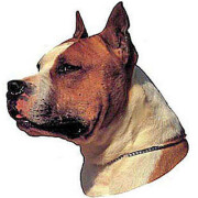 Autocollant Amstaff fauve