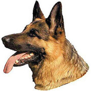 Autocollant race tête Berger Allemand