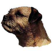 Autocollant Border Terrier