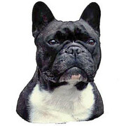 Autocollant Bouledogue Français