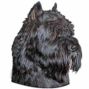 Autocollant Bouvier des Flandres