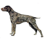 Autocollant Braque Allemand