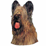 Autocollant Briard fauve