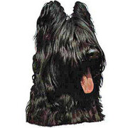 Autocollant Briard noir