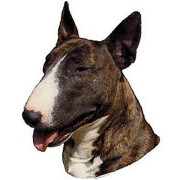 Autocollant Bull Terrier
