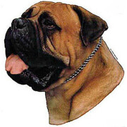 Autocollant BullMastiff