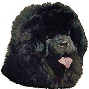 Autocollant Chow Chow