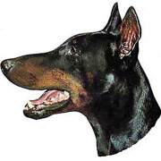 Autocollant Dorbermann