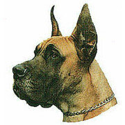 Autocollant Dogue Allemand