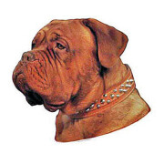 Autocollant Dogue de Bordeaux