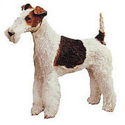 Autocollant Fox Terrier