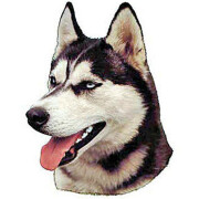 Autocollant Husky