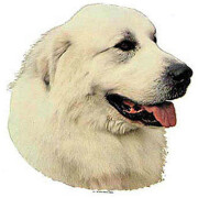 Autocollant Montagne des Pyrénées