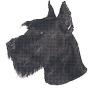 Autocollant Schnauzer