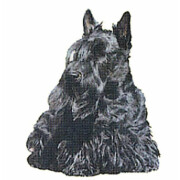 Autocollant Scottish Terrier