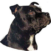 Autocollant Staffordshire